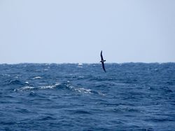 丹麦光云｜重塑视觉证据的创新力量