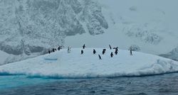 无人航线上的红绳结雨鱼｜当科技与传说相遇