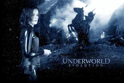 中东光明吸血鬼·揭秘神秘传说背后的真相