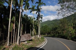 雨林深处的低语｜那些被称为“鲛人”的守护者