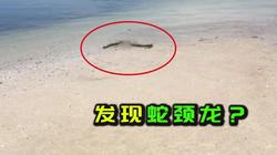 在巴拿马雨林里，我撞见了一场不可思议的打坐？