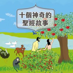 在羊皮卷上寻找光芒？