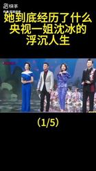 时光里的回声丨沈冰与周的十一章故事