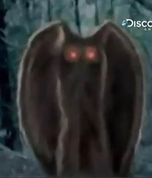 海地的神秘夜行者：天蛾人的传说与真相