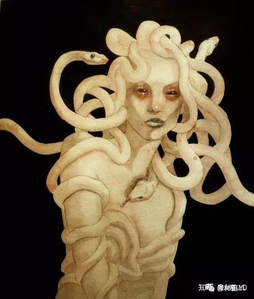 蛇发女妖的传说·洞穴深处的神秘生物 蛇发女妖的传说·洞穴深处的神秘生物