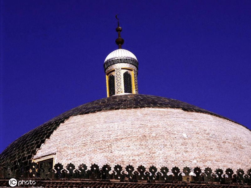 守墓中东凤凰：一段传奇的守护之旅