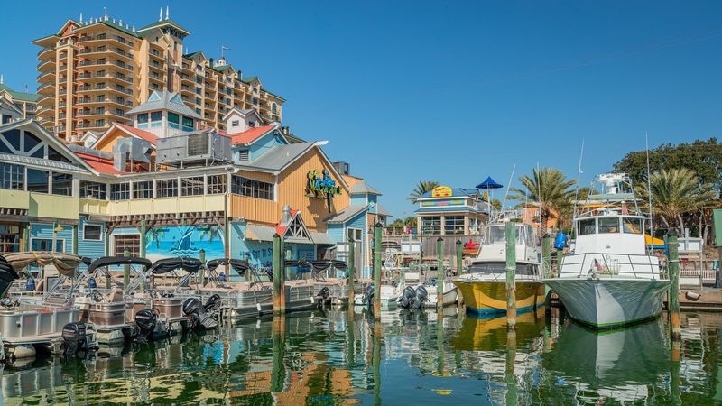 在佛罗里达的星空下,猎户座的秘密? 在佛罗里达的星空下,猎户座的秘密?