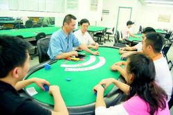 赌局背后的真相