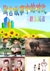 两扇窗外的世界