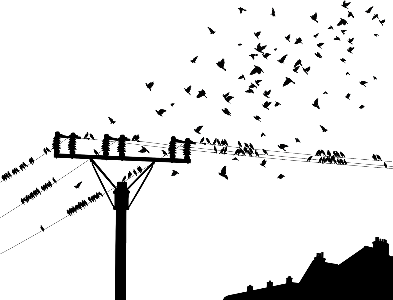 科学未解之谜(图1)