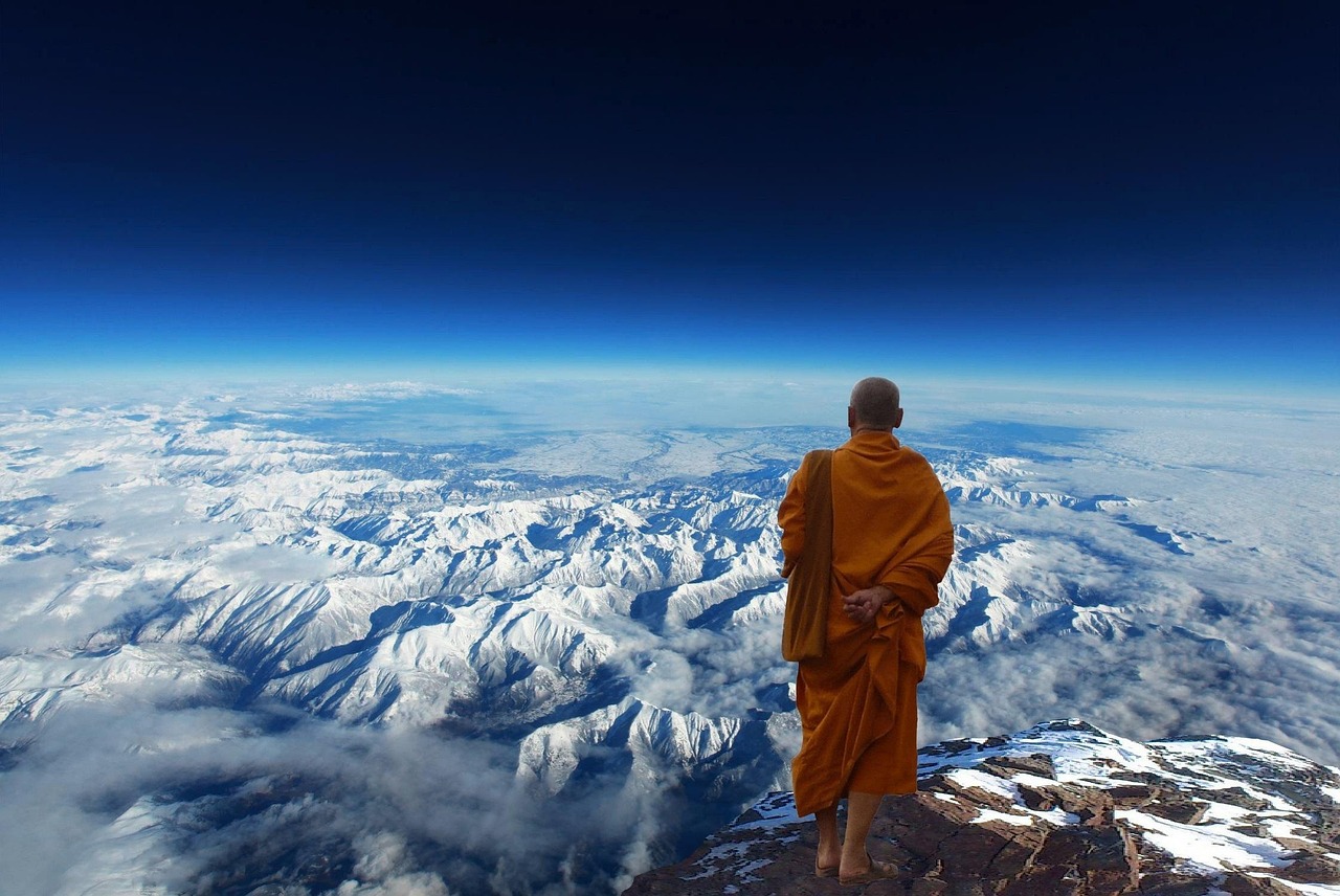 看一下外星人几年不见的(图1)