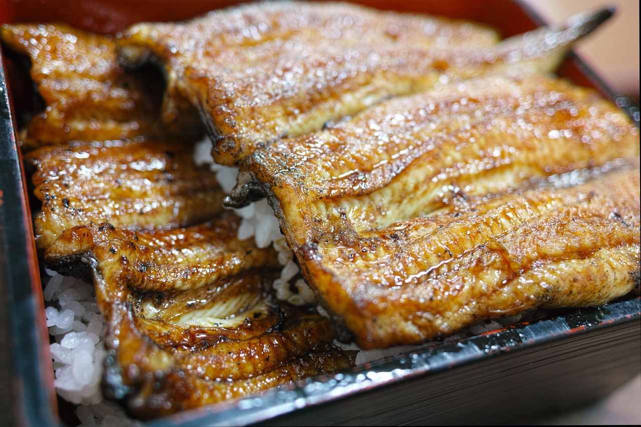 世界上最恶心的食物(图1)