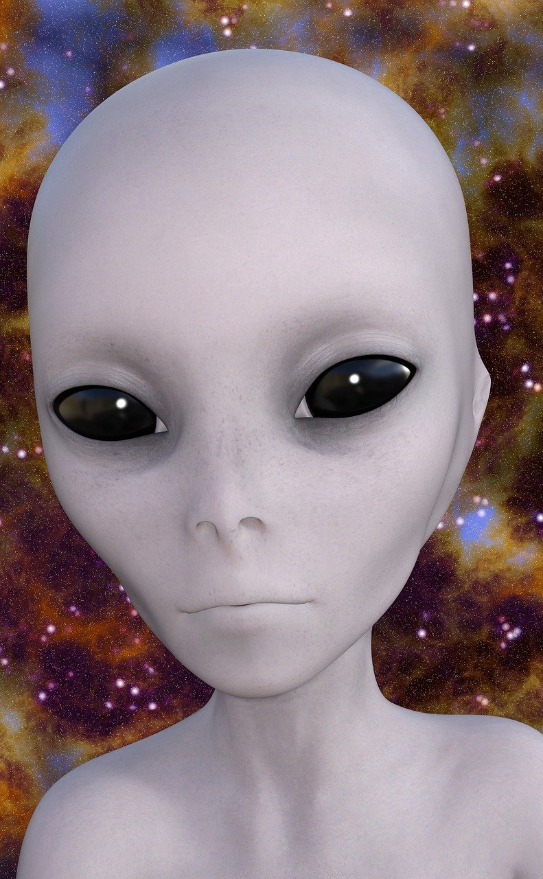 外星人尸体(图1)