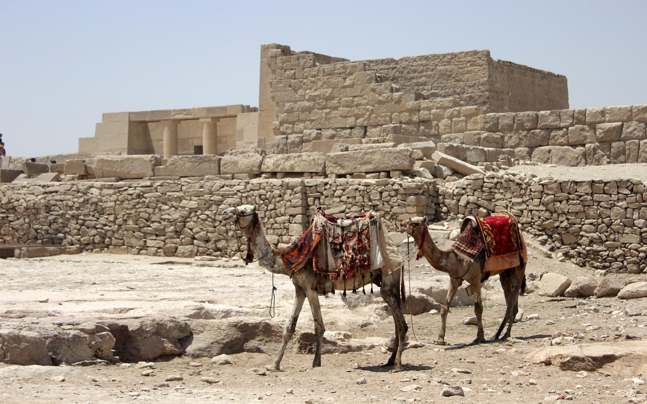 **古代站刑全解析：历史渊源、典型案例及法律影响**(图1)