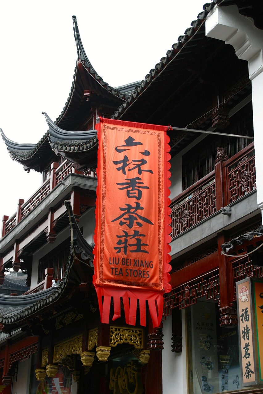 **中国古代野史大公开：鲜为人知的传奇故事与真实历史真相**(图1)