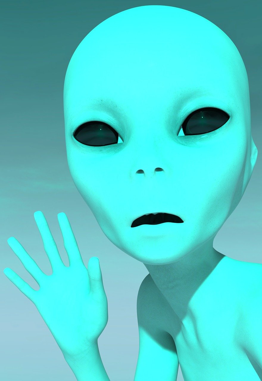 大白外星人(图1)
