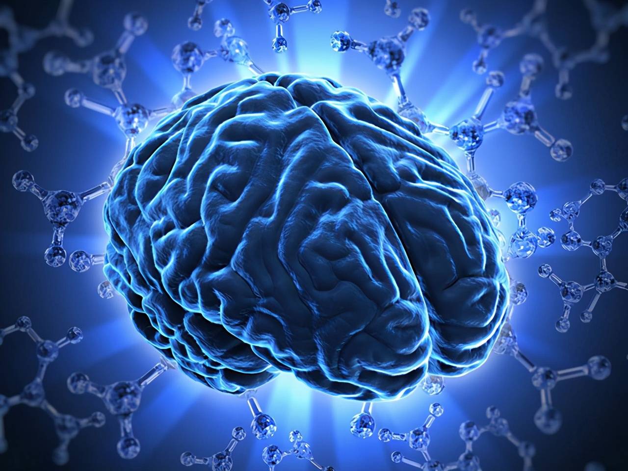 人类大脑正持续缩小-科学家最新研究发出警告-开发大脑潜能刻不容缓 (人类大脑作用)(图1)
