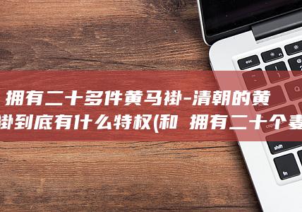 和珅拥有二十多件黄马褂-清朝的黄马褂到底有什么特权 (和珅拥有二十个妻子)(图1)