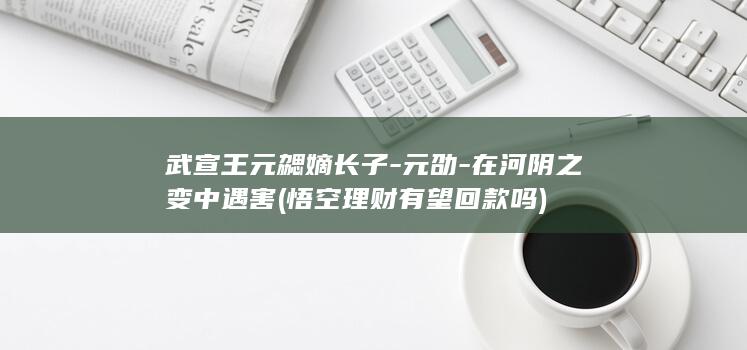 武宣王元勰嫡长子-元劭-在河阴之变中遇害 (悟空理财有望回款吗)(图1)