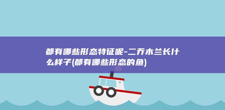 都有哪些形态特征呢-二乔木兰长什么样子 (都有哪些形态的鱼)(图1) 都有哪些形态特征呢-二乔木兰长什么样子 (都有哪些形态的鱼)(图1)