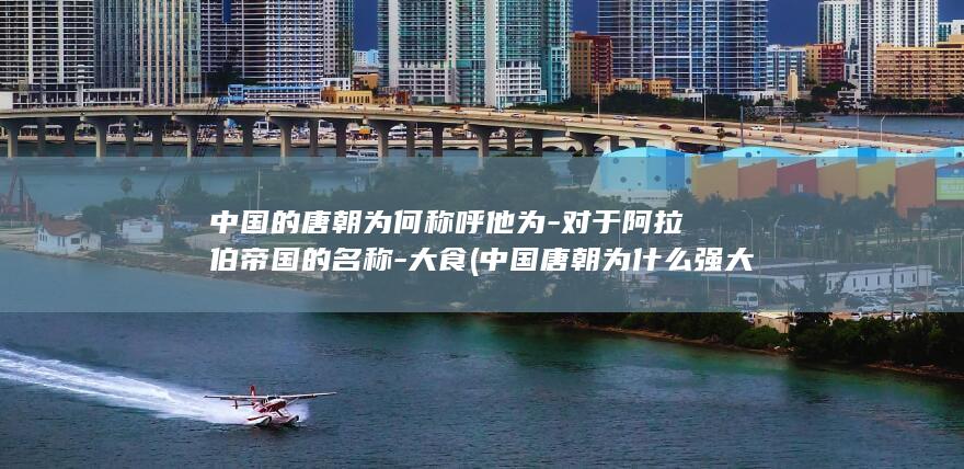 中国的唐朝为何称呼他为-对于阿拉伯帝国的名称-大食 (中国唐朝为什么强大)(图1)