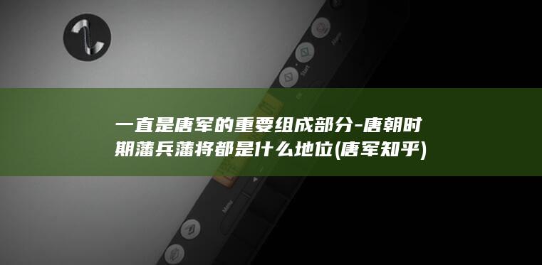 一直是唐军的重要组成部分-唐朝时期藩兵藩将都是什么地位 (唐军知乎)(图1)