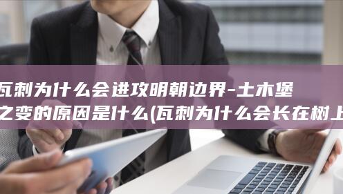 瓦刺为什么会进攻明朝边界-土木堡之变的原因是什么 (瓦刺为什么会长在树上)(图1)