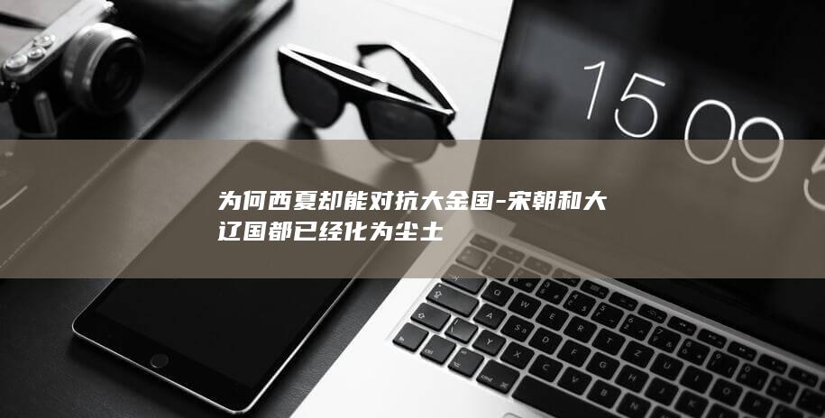 为何西夏却能对抗大金国-宋朝和大辽国都已经化为尘土(图1)