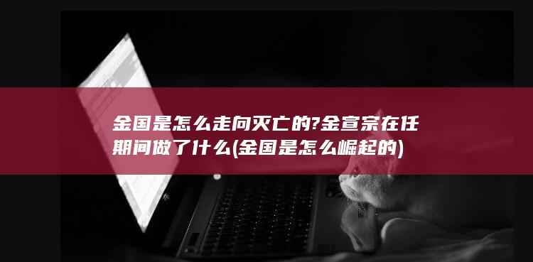 金国是怎么走向灭亡的?金宣宗在任期间做了什么 (金国是怎么崛起的)(图1)